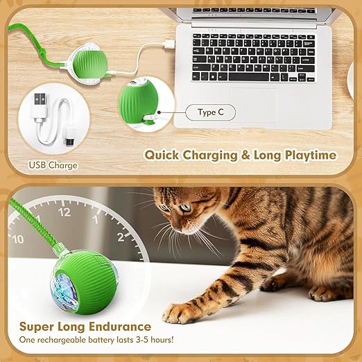 Pet Rolling Ball