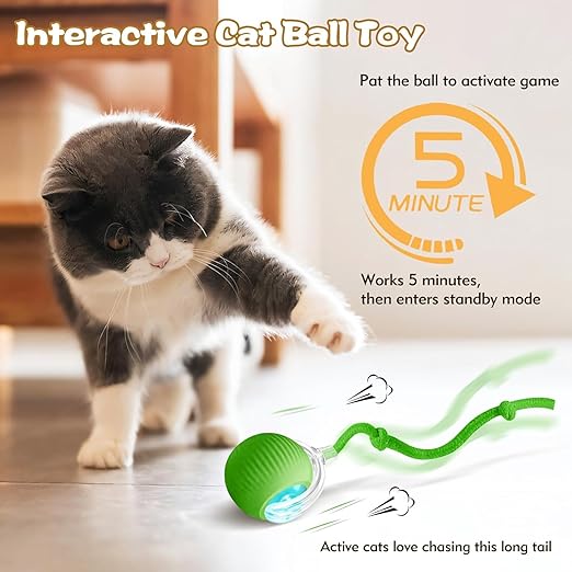 Pet Rolling Ball